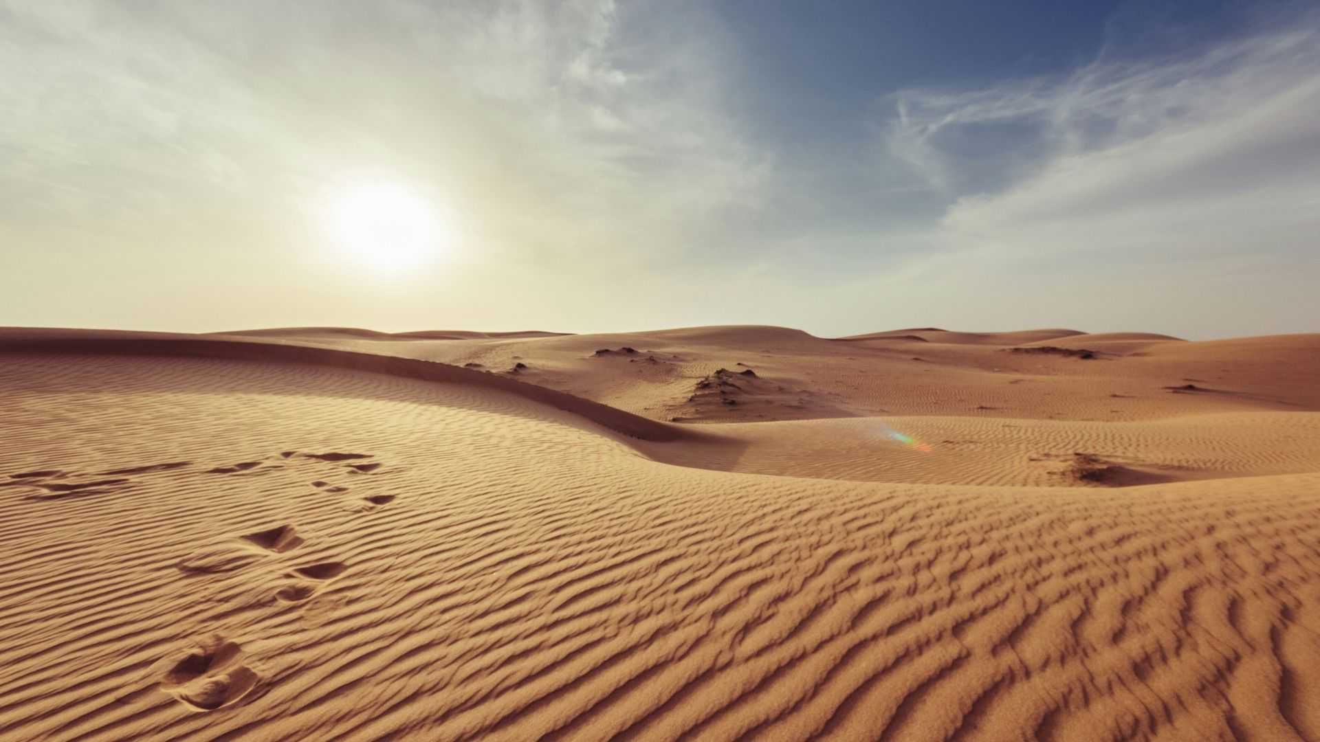 Sepenting Apakah Keberadaan Gurun bagi Keseimbangan Bumi?